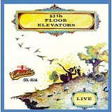 13th Floor Elevators - Live