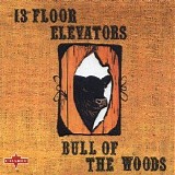 13th Floor Elevators - Bull Of The Woods