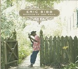 Eric Bibb - Deeper In The Well