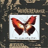 Wunderkammer - The Sun Was Setting Behind...