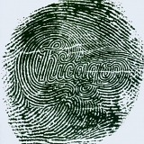 Chicago - Chicago XIV