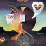 Nick Drake - Pink Moon