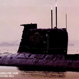 Sanguine Hum - Diving Bell