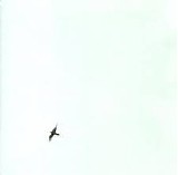 Wilco - Sky Blue Sky