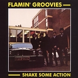 Flamin' Groovies - Shake Some Action