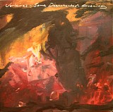 Verlaines, The - Some Disenchanted Evening