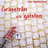 Jan Hammarlund - GrÃ¤sstrÃ¥n och gatsten