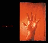 Porcupine Tree - XM