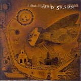 David Sylvian - Dead Bees on a Cake