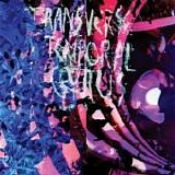 Animal Collective - Transverse Temporal Gyrus