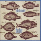 Patent Ochsner - Fischer