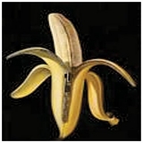 Dandy Warhols - Welcome To The Monkey House