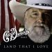 The Charlie Daniels Band - Land That I Love