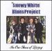 The Snowy White Blues Project - In Our Time of Living
