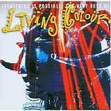 Living Colour - Everything Is Possible: The Very Best Of Living Colour