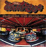 The Waterboys - Room To Roam