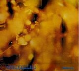 Steamhammer - Steamhammer (Reflection)
