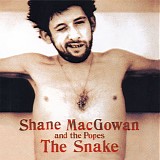 Shane MacGowan And The Popes - The Snake