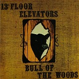 13th Floor Elevators - Bull Of The Woods