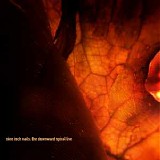 Nine Inch Nails - Further Down the Spiral - The Downward Spiral [Live]