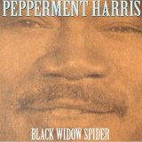 Peppermint Harris - Black Widow Spider