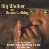 Big Walker - Still Dream Walking