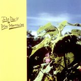 John Davis - Blue Mountains