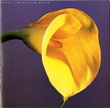 Swans - The Burning World