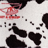 Aerosmith - Get A Grip (Cowhide Cover)