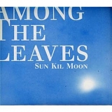 Sun Kil Moon - Among The Leaves