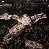 David Sylvian & Holger Czukay - Plight & Premonition
