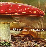 Bio-Sound Terrorist - Synesthesia