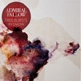 Admiral Fallow - Tree bursts in snow
