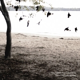 The Tallest Man on Earth - There's no Leaving Now