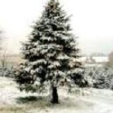 Various artists - Worlds Most Loved Christmas Classics