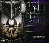 Soulfly - Enslaved