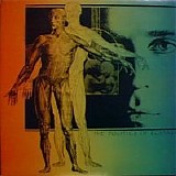 Magic Mushroom Band - The Politics Of Ecstasy