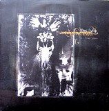 Fields Of The Nephilim - Earth Inferno