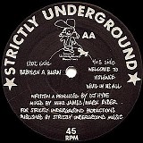 Warrior, The - Babylon A Burn