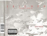 Wu-Tang Clan - Triumph