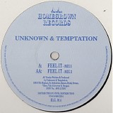 DJ Unknown & DJ Temptation - Feel It