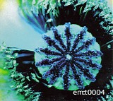 Various artists - em:t 0004