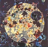 Various artists - 1 Year - Ambient