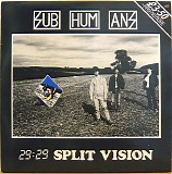 Subhumans - 29:29 Split Vision