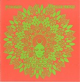 Magic Mushroom Band - Process Of Illumination
