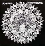 Magic Mushroom Band - Process Of Illumination