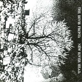 Bevis Frond, The - New River Head