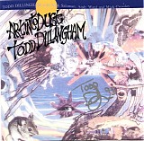 Todd Dillingham - Art Into Dust