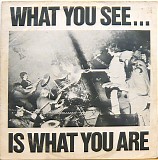 Alternative TV & Here & Now - What You See... Is What You Are
