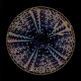 David Reeves - Otras 2
